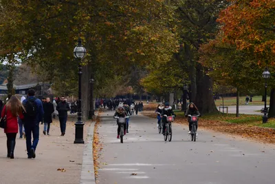 DSC_0616 (Large).JPG